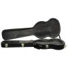 EPIPHONE Zenith Guitar Hard Case 2