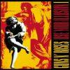 Use Your Illusions 1