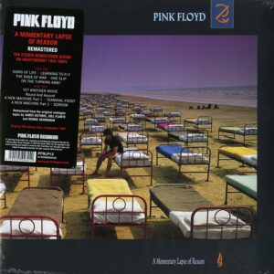 Pink Floyd - A Momentary Lapse Of Reason vinile