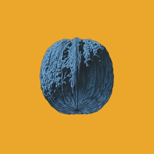 Brunori Sas - L'Albero Delle Noci Digipack - immagine 3