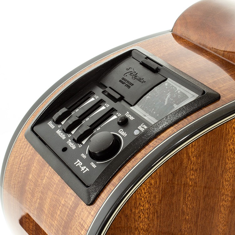 Chitarra Acustica Nex Ctw Elet G Selected Series - immagine 4