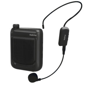 BM 541 Amplificatore portatile