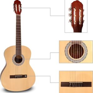 ffalstaff C40 Chitarra Classica 4/4 top in abete massello, fondo e fasce in sapele, tastiera e ponte in palissandro, binding in ABS bianco, con borsa colorata